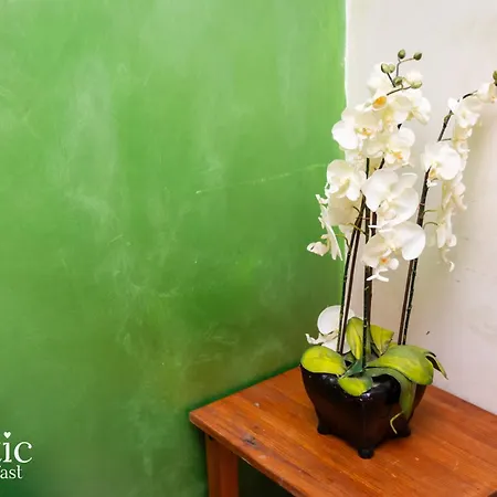 ゲストハウス Romatic 2*