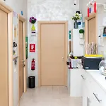 Romatic רומא