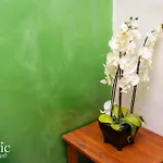 בית הארחה Romatic 2*